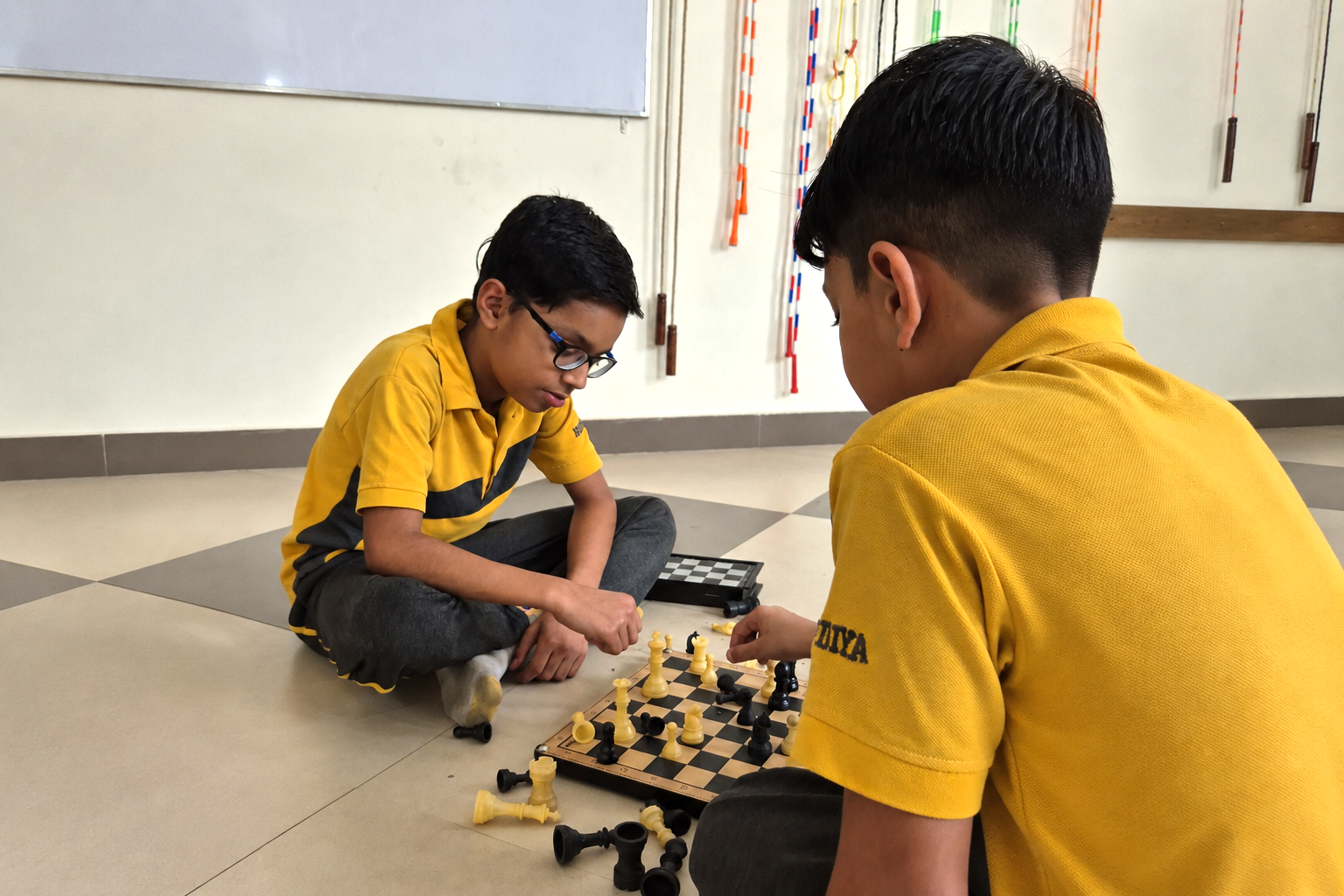 Chess & Carrom